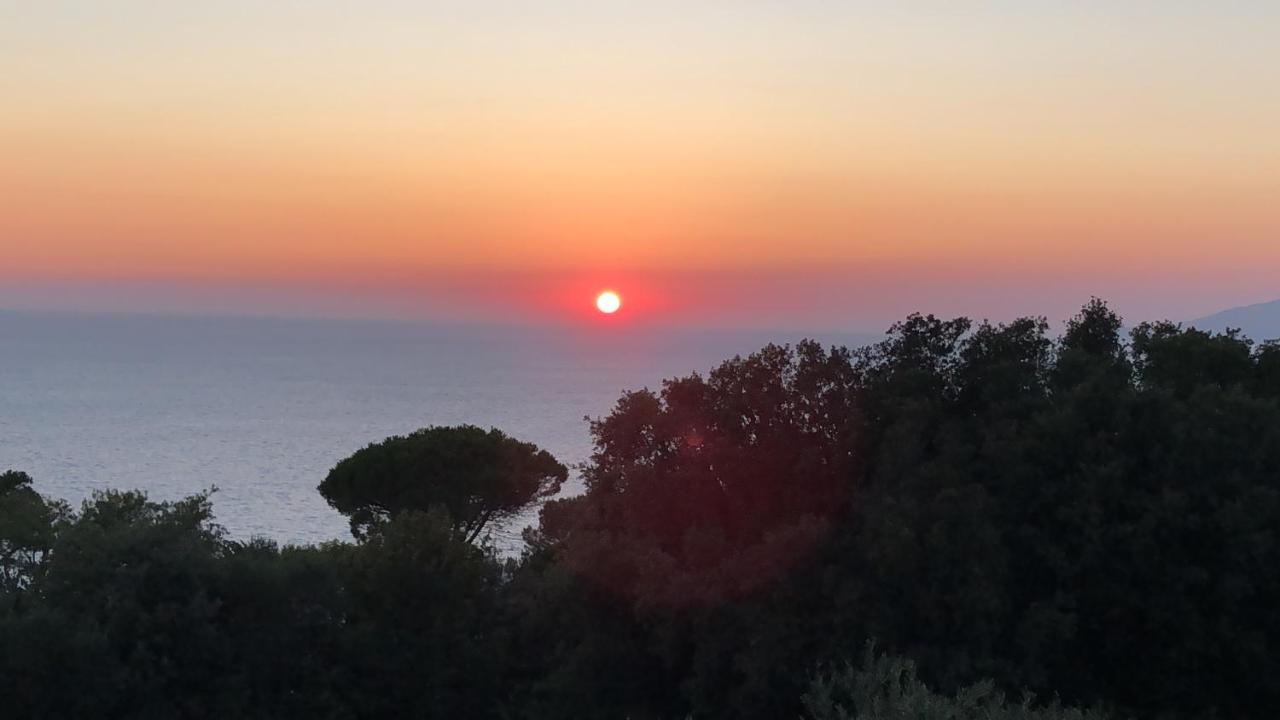 La Draghina B&B Capri 阿纳卡普里 外观 照片